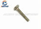 4 Inch 316 Stainless Steel Mushroom Head Square Neck DIN 603 Carriage Bolts